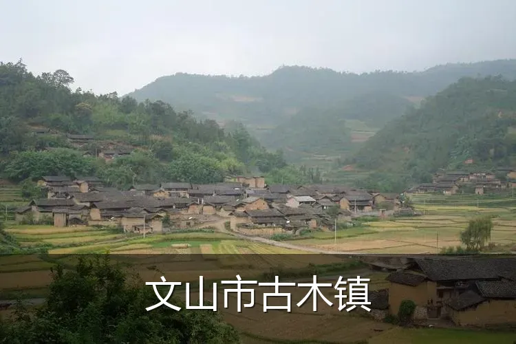 文山市古木镇