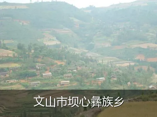 文山市坝心彝族乡