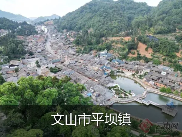 文山市平坝镇