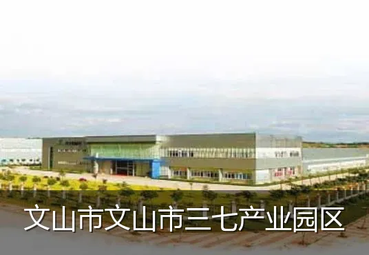 文山市文山市三七产业园区