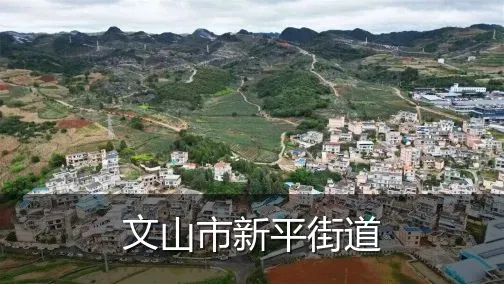 文山市新平街道