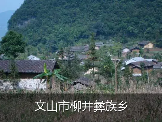文山市柳井彝族乡