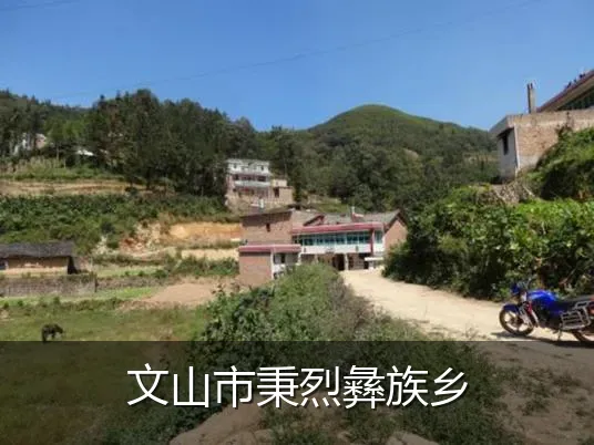 文山市秉烈彝族乡