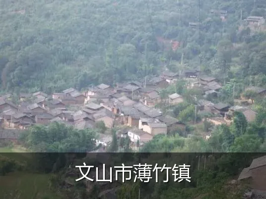 文山市薄竹镇