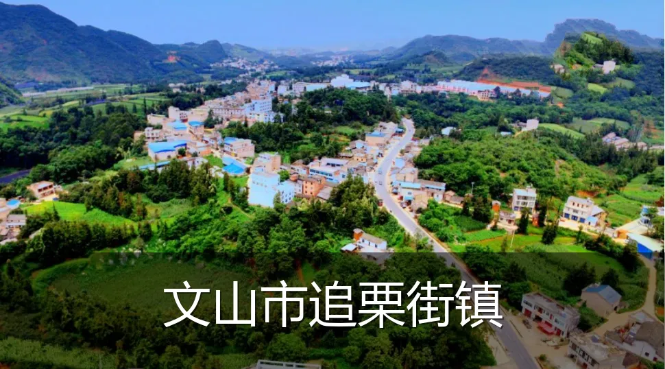 文山市追栗街镇